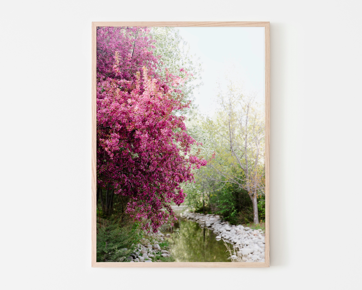 Fruitless Plum