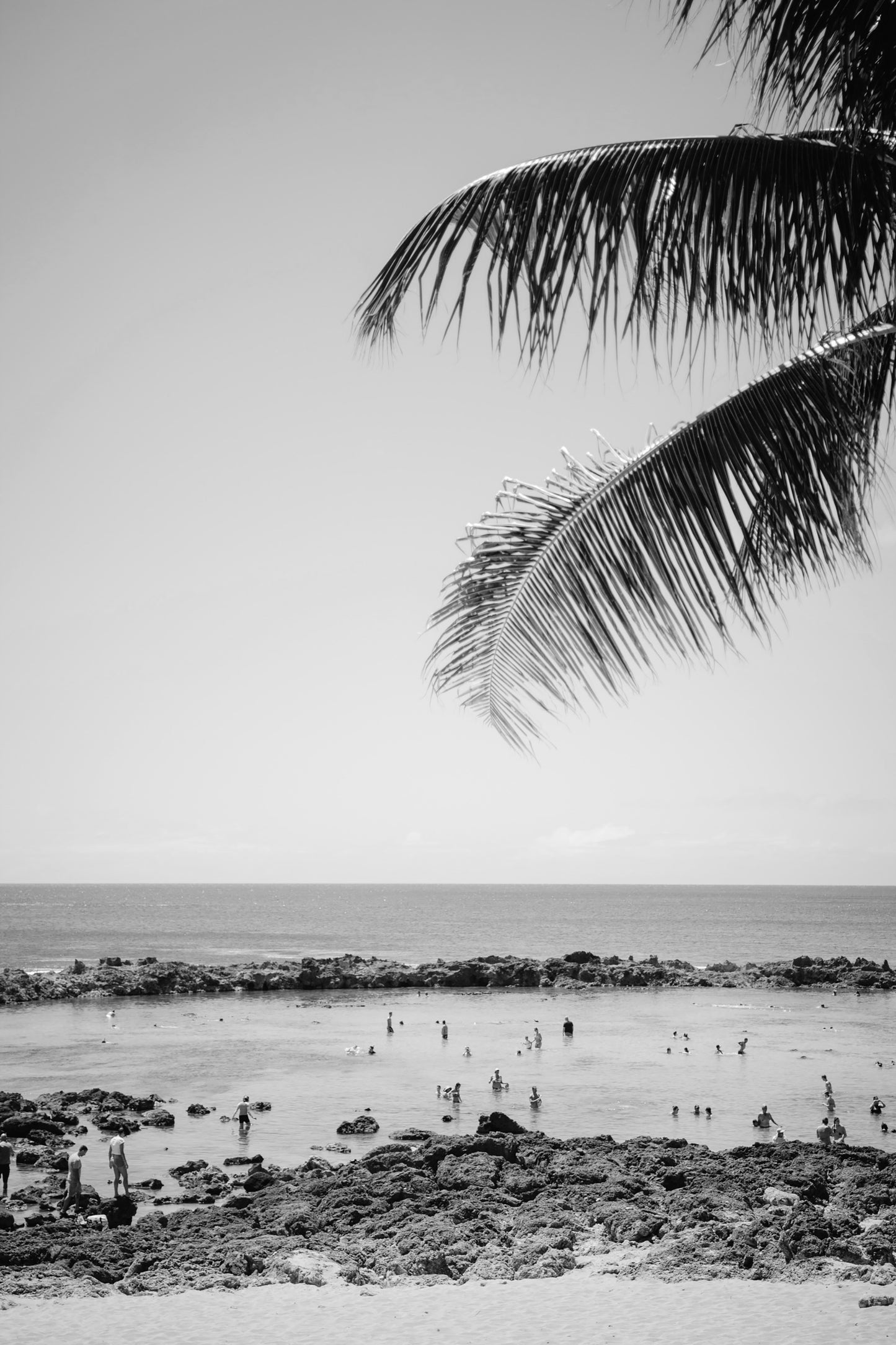 Lagoon B&W